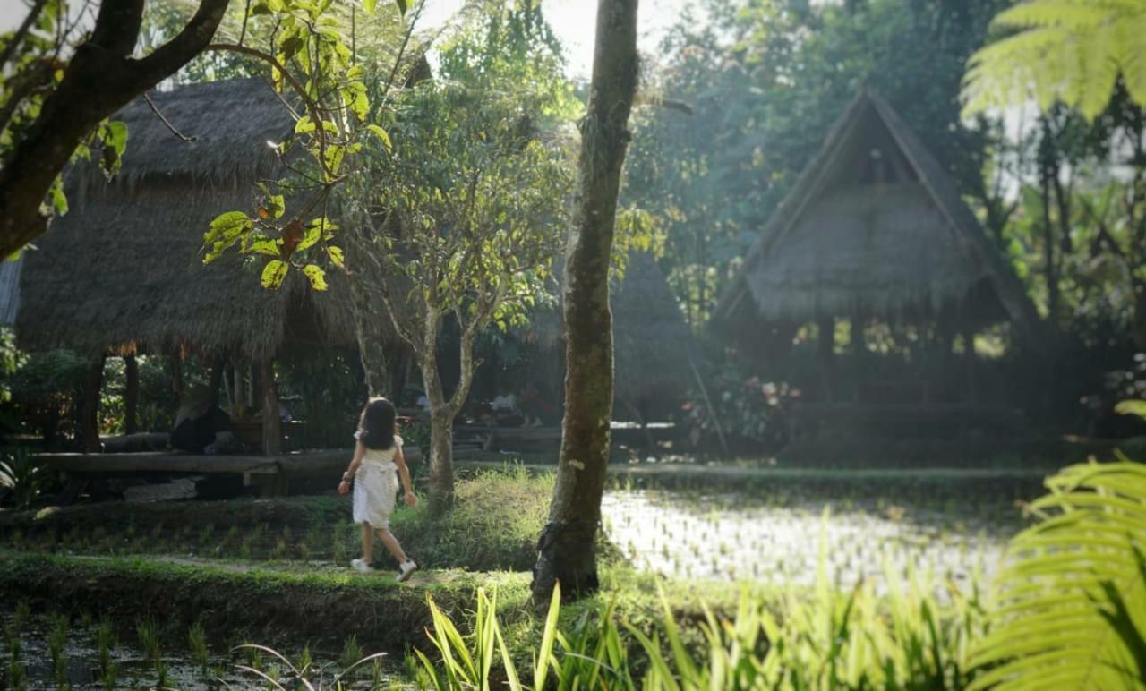 Sapulidi Cafe, Gallery & Resort レムバン エクステリア 写真