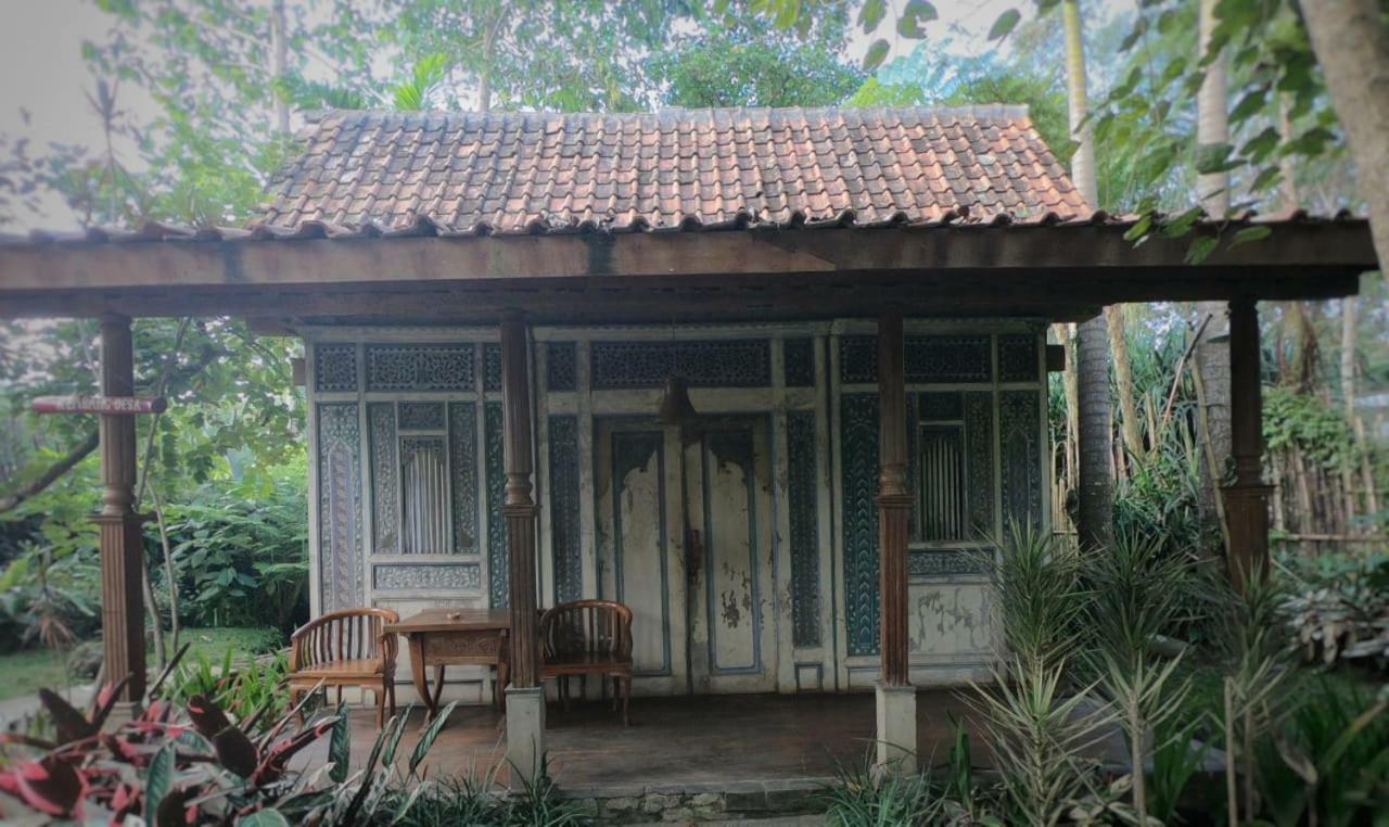 Sapulidi Cafe, Gallery & Resort レムバン エクステリア 写真