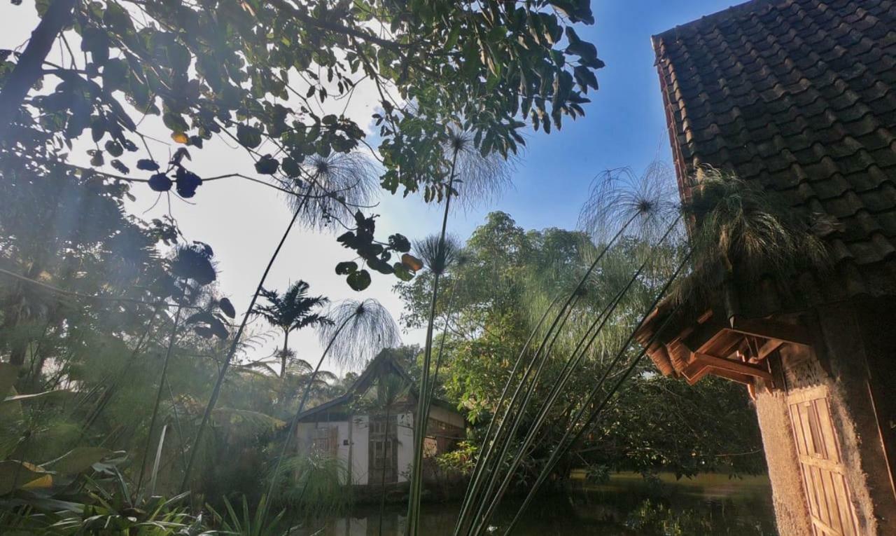 Sapulidi Cafe, Gallery & Resort レムバン エクステリア 写真