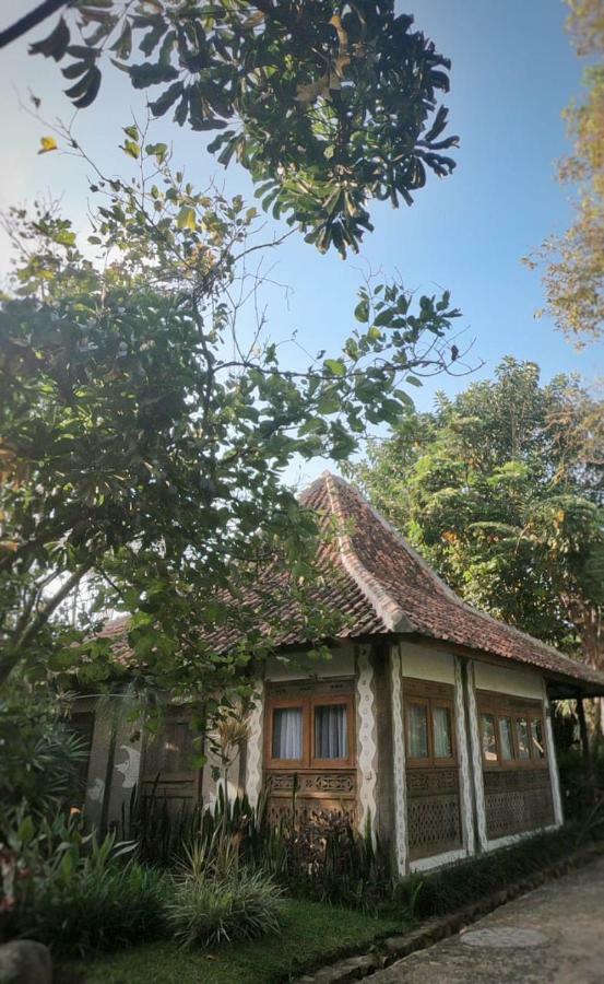Sapulidi Cafe, Gallery & Resort レムバン エクステリア 写真